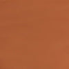 color swatch Boulder Tan Leather Bomber Jacket